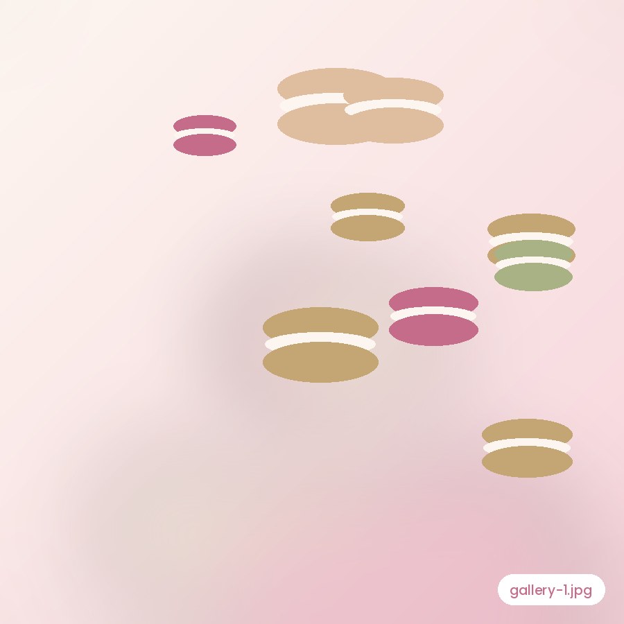 Assorted handmade macarons